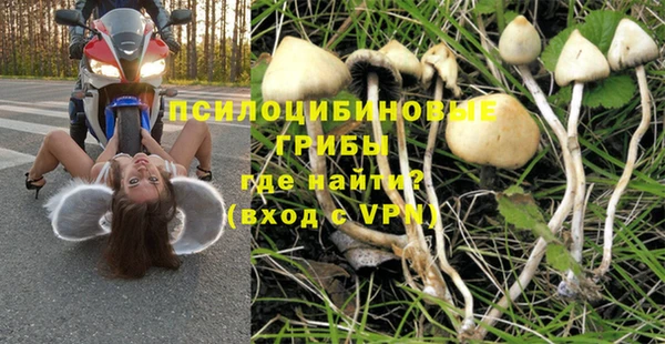винт Семилуки
