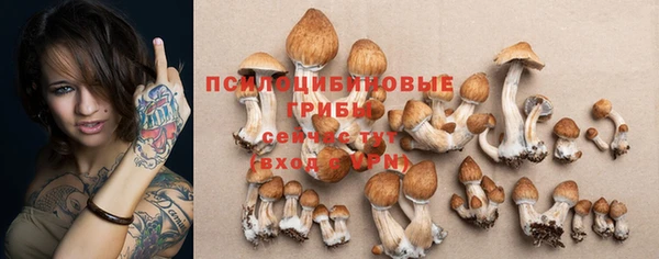 прущая мука Баксан